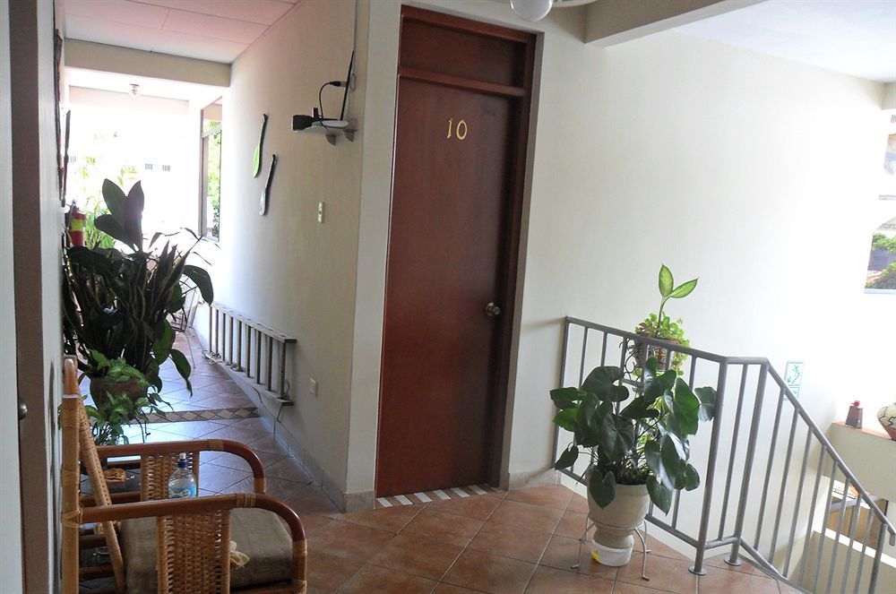 איקיטוס Nativa Apartments מראה חיצוני תמונה